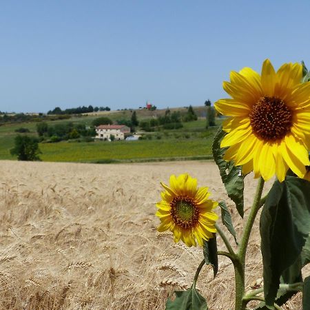 Gites des Camparros Nailloux Extérieur photo